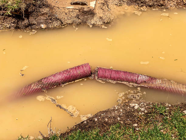 Best Sewage cleanup and water damage restoration  in Watonga, OK