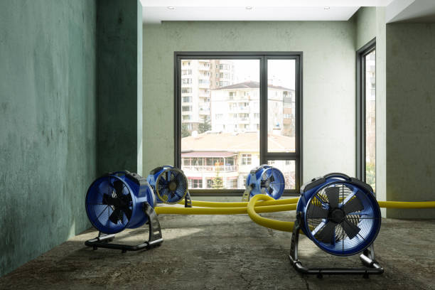 Best Water damage contractors near me  in Watonga, OK