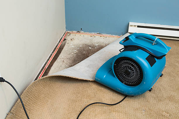 Best Flooded house restoration  in Watonga, OK